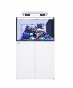 Red Sea Reefer Max Peninsula