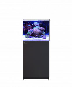 Alternative view of Red Sea REEFER 170 G3