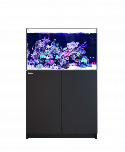 Alternative view of Red Sea REEFER 300 G3