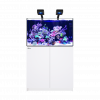 Red Sea REEFER MAX 300 G3