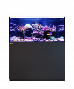 Alternative view of Red Sea REEFER 350 G3