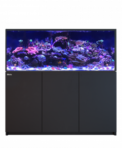 Alternative view of Red Sea REEFER 625 G3