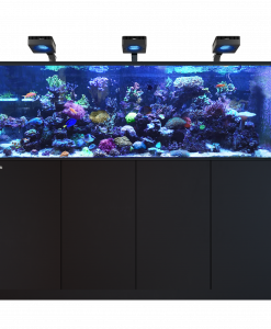 Alternative view of Red Sea REEFER MAX 750 G3