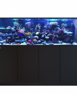 Alternative view of Red Sea REEFER 750 G3